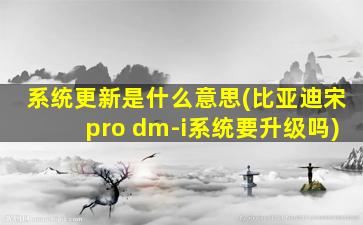 系统更新是什么意思(比亚迪宋pro dm-i系统要升级吗)